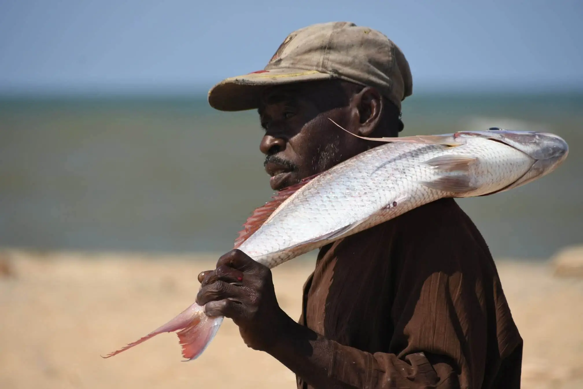 Projet communautaire 6 